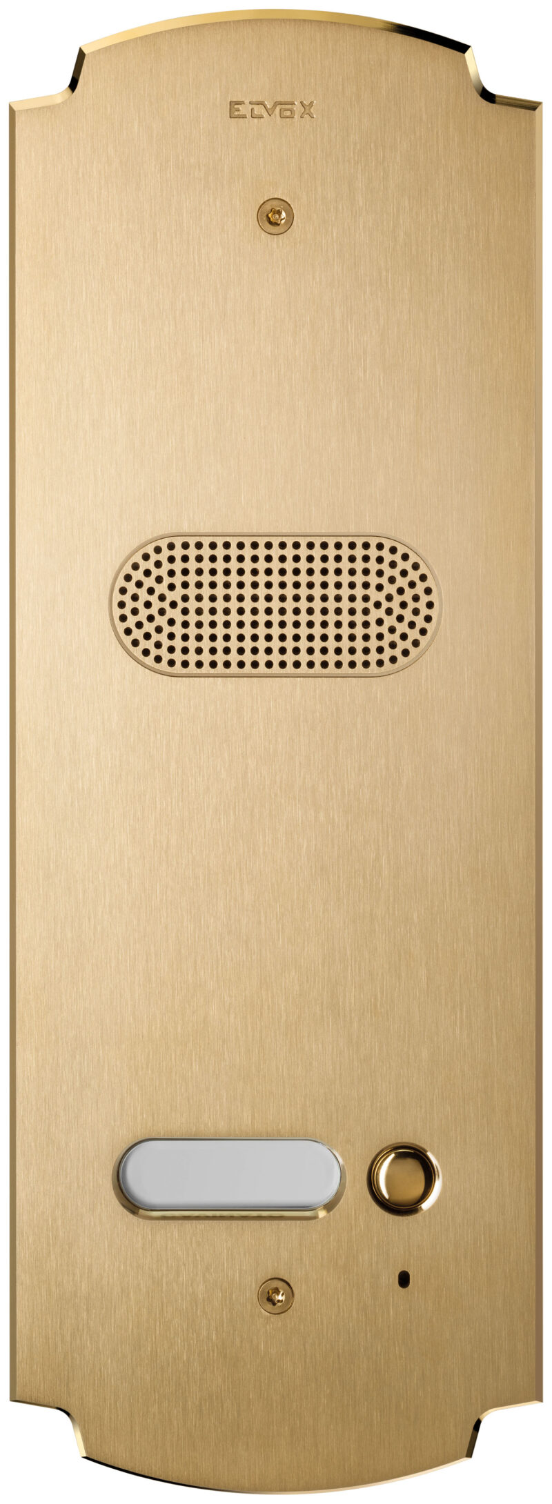 Plate Patavium 2F+ audio 1-butt. brass