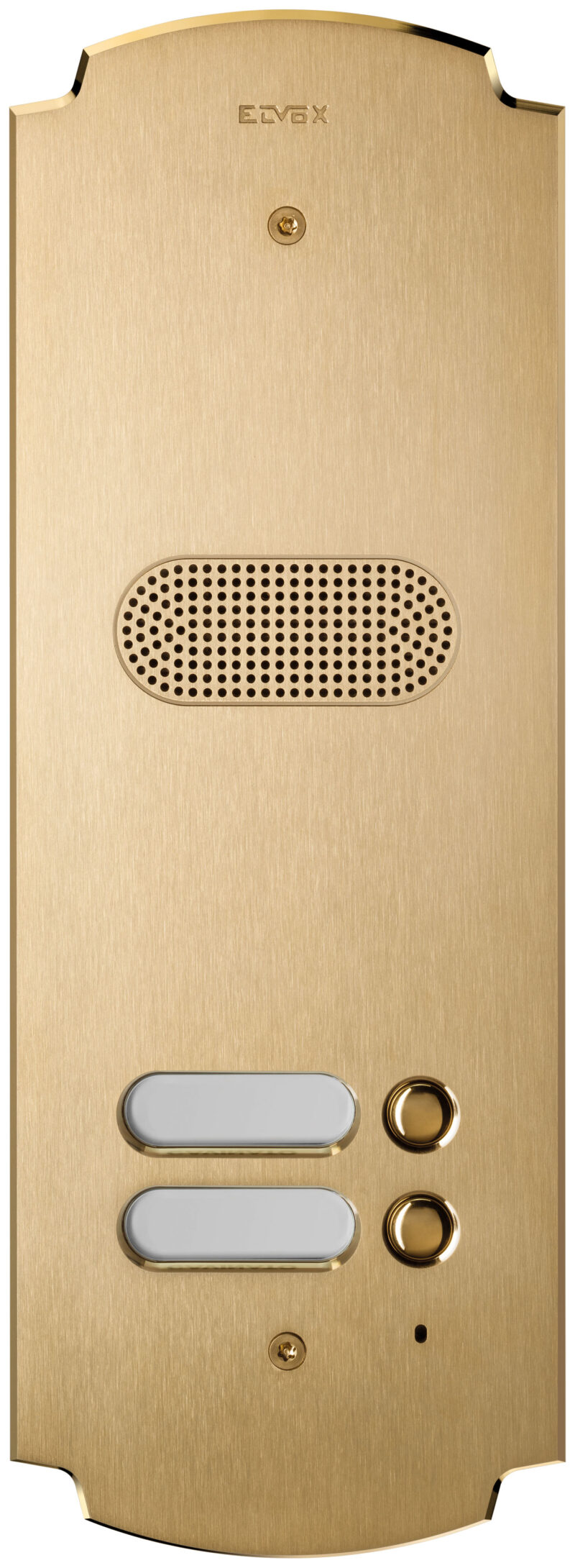 Plate Patavium 2F+ audio 2-butt. brass