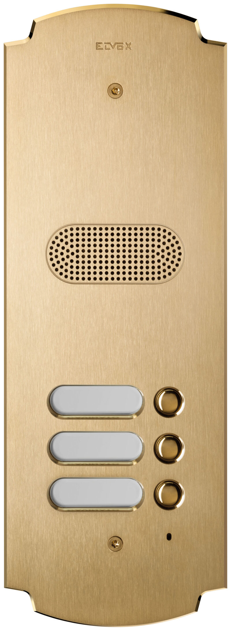 Plate Patavium 2F+ audio 3-butt. brass
