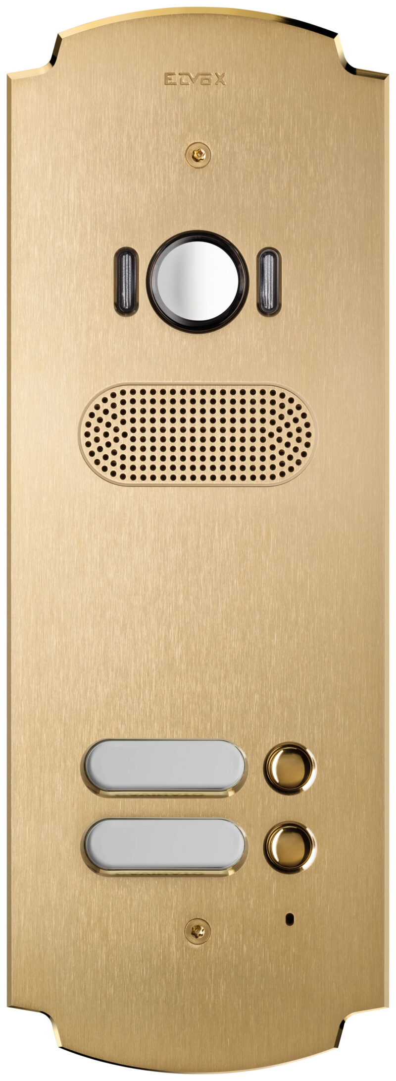 Plate Patavium 2F+ A/V 2-butt. brass