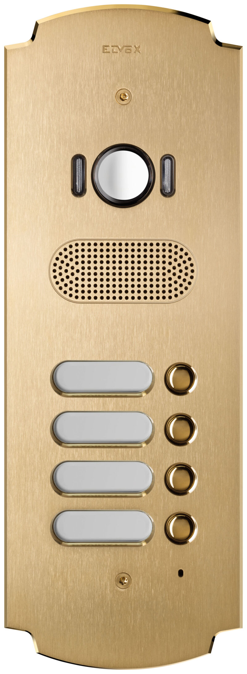 Plate Patavium 2F+ A/V 4-butt. brass