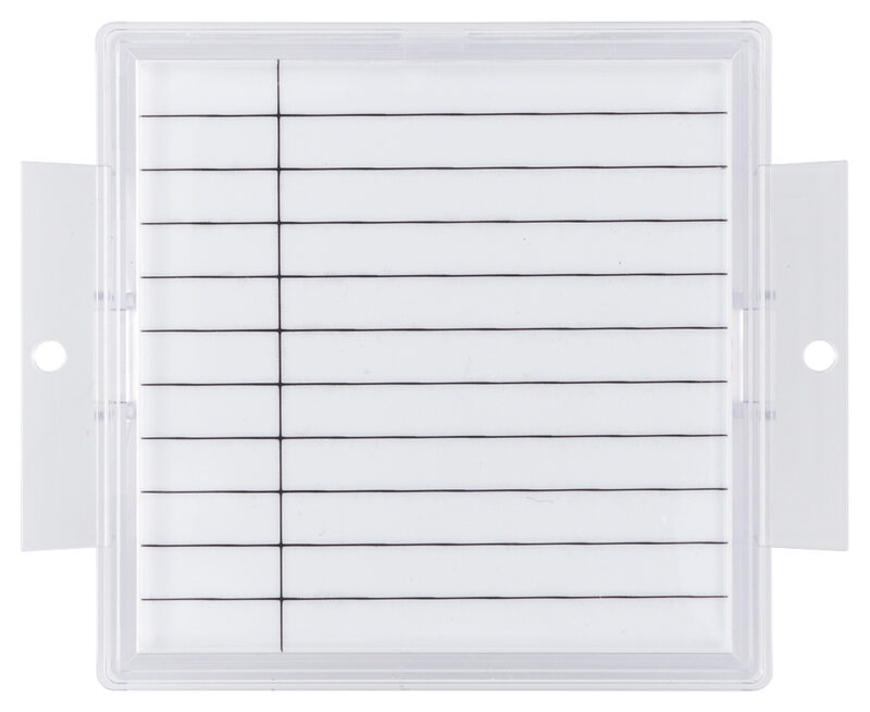 Steely card name
