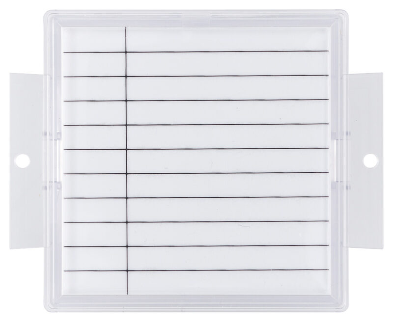 Patavium card name